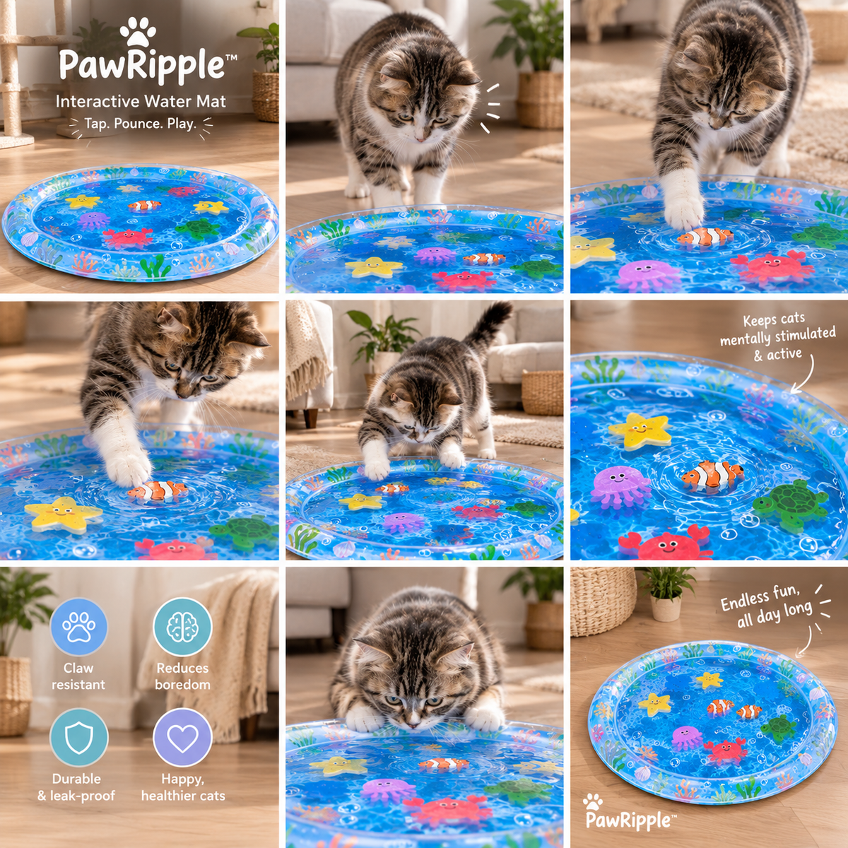 Enhance Your Cat's Playtime Experience